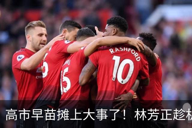 高市早苗摊上大事了！林芳正趁机逼宫高市，要为远大前程撒手一搏